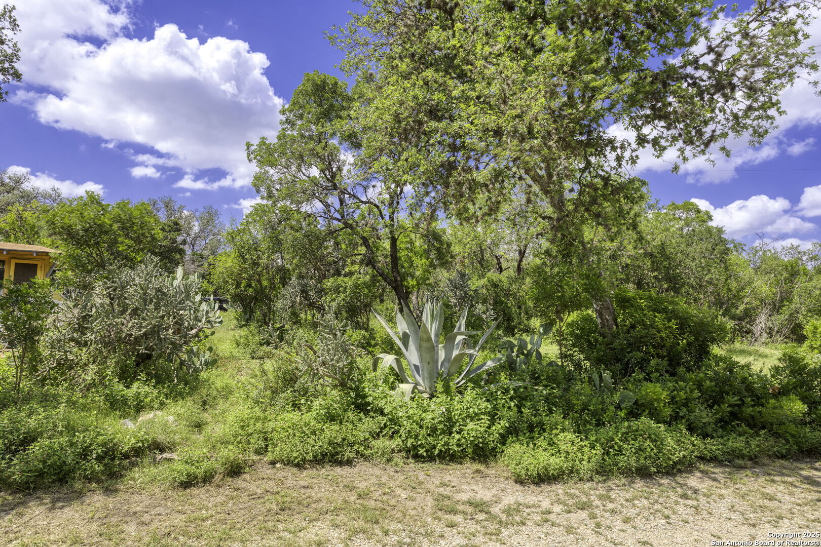 2422 Hillcrest Drive San Antonio TX 78228