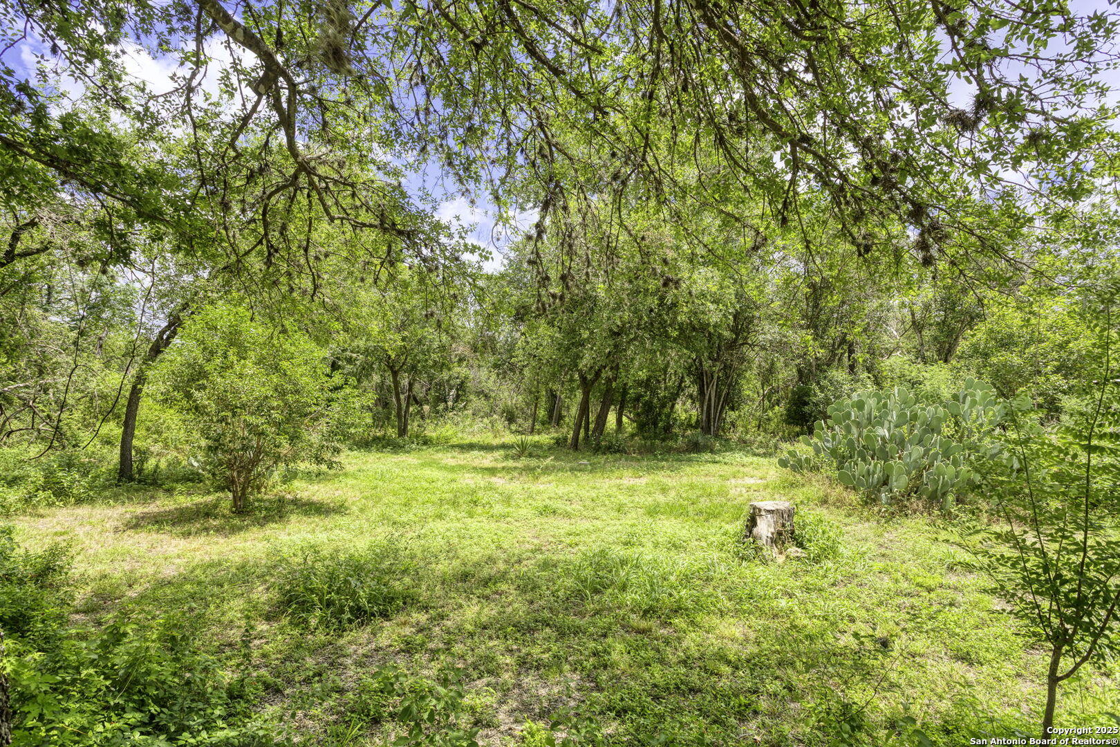 2422 Hillcrest Drive San Antonio TX 78228