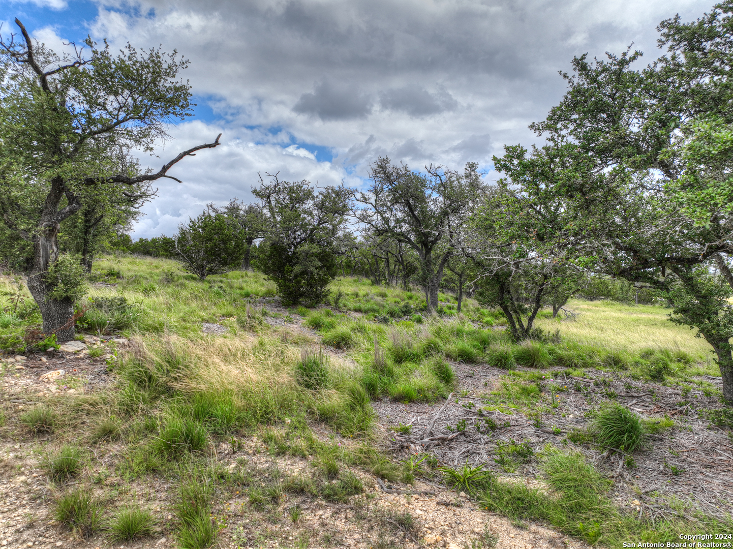 85 Majestic Hills Blanco TX 78606