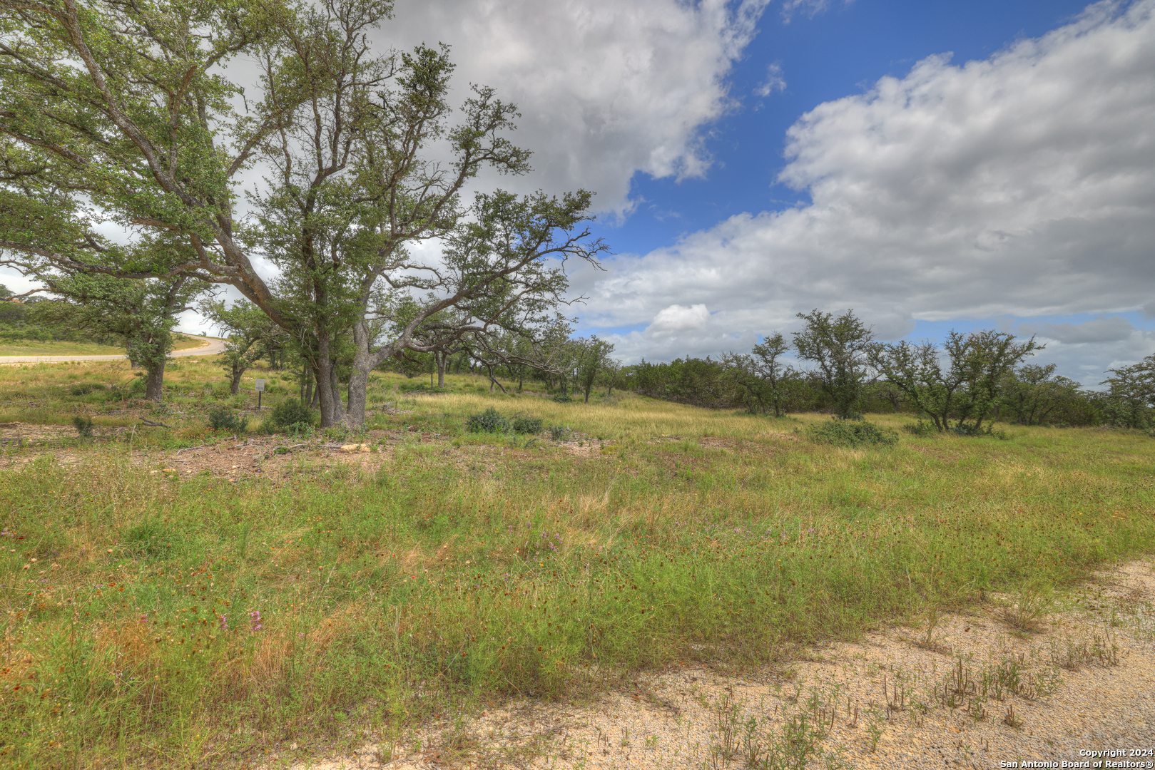 85 Majestic Hills Blanco TX 78606