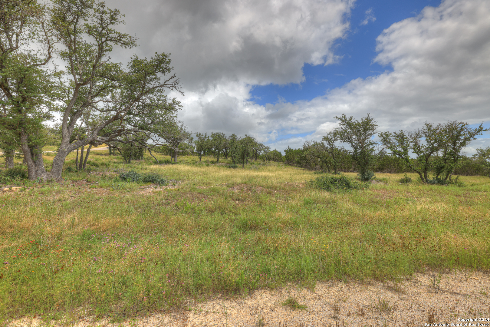 85 Majestic Hills Blanco TX 78606