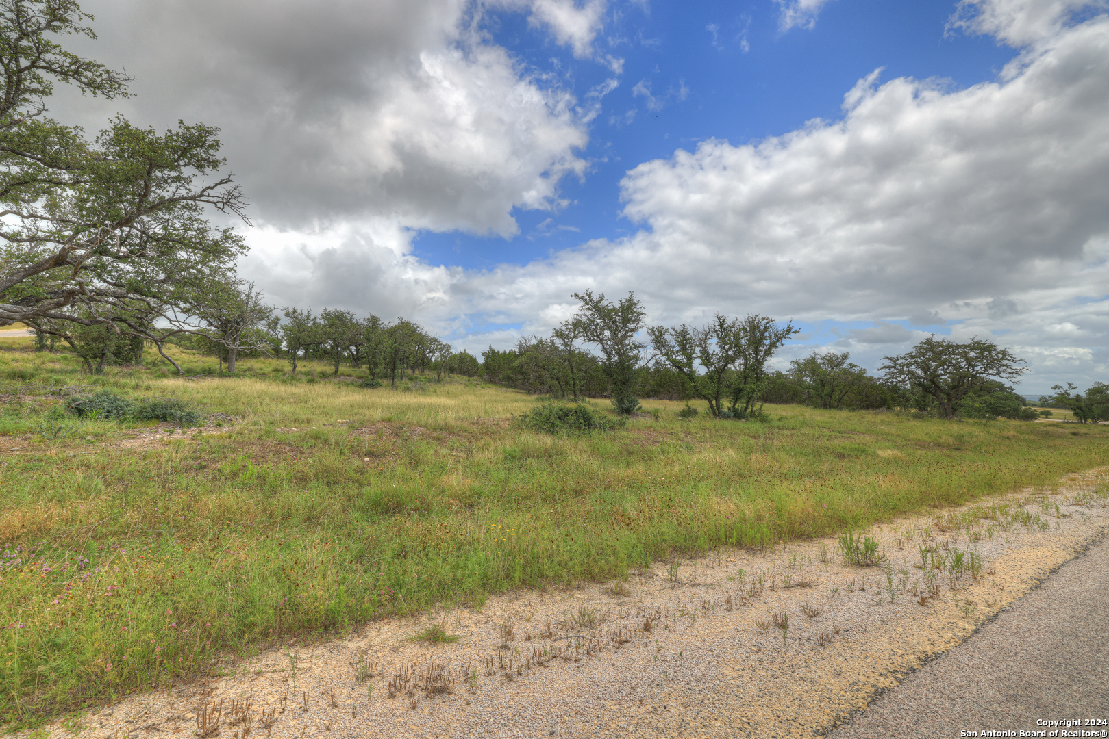 85 Majestic Hills Blanco TX 78606