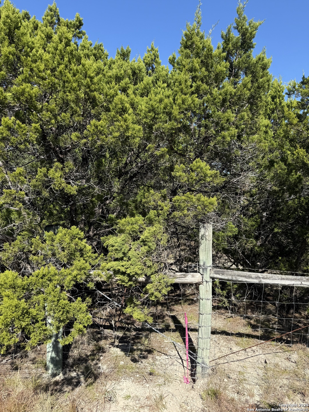 Lt 391 Forest Trail Drive Bandera TX 78003