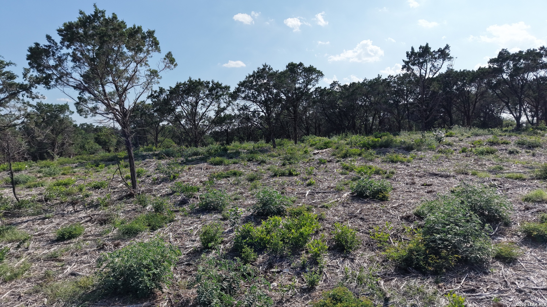 760 County Road 273 Mico TX 78056