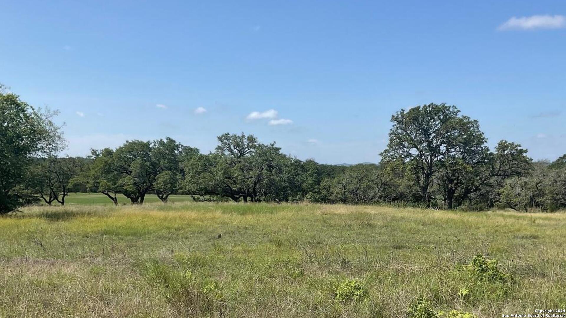 773 Annabelle Avenue Bulverde TX 78163