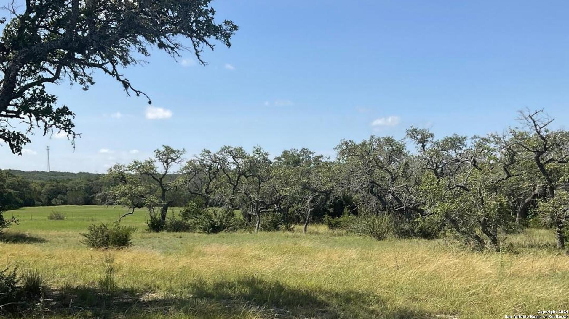 773 Annabelle Avenue Bulverde TX 78163
