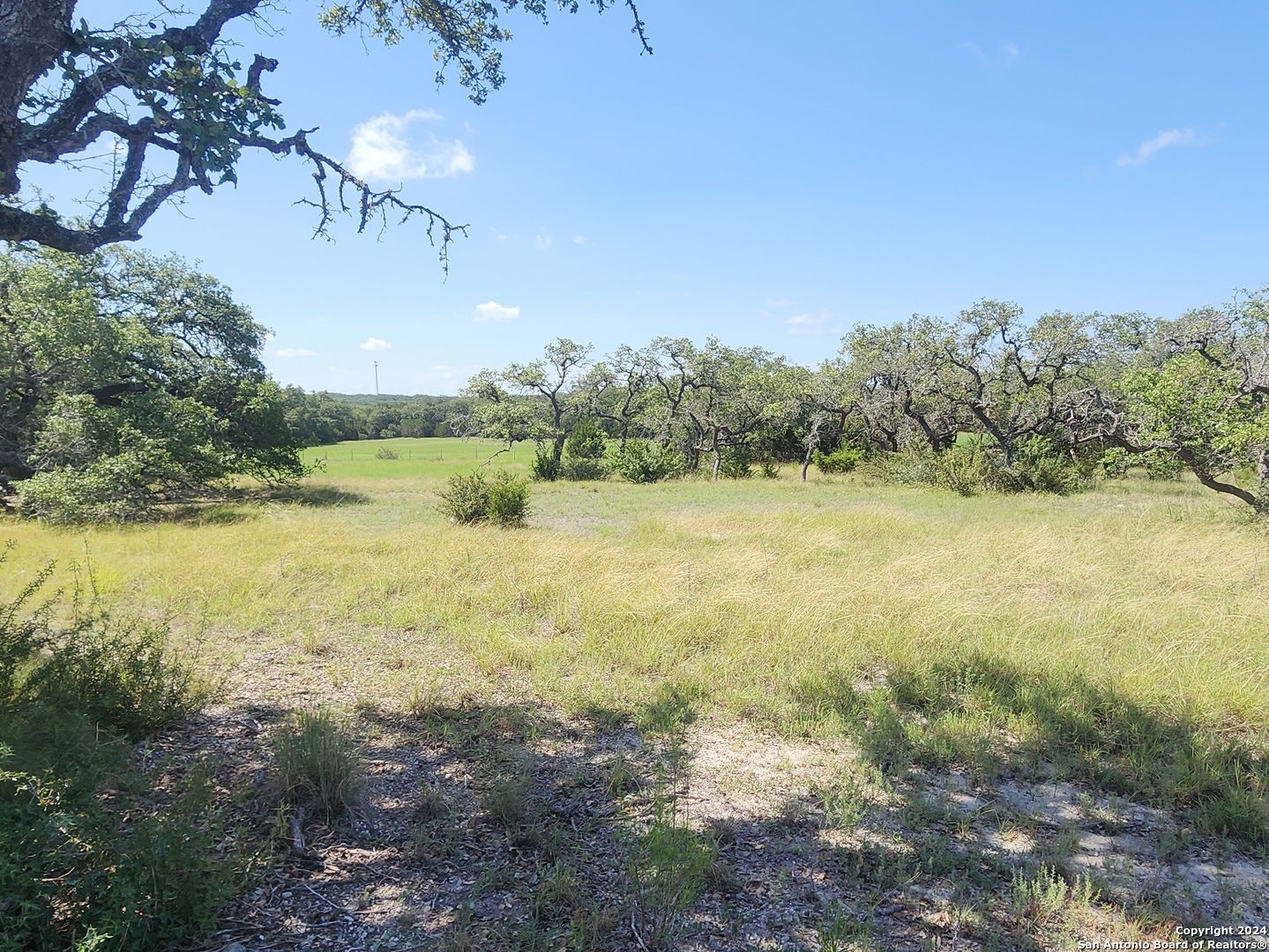 773 Annabelle Avenue Bulverde TX 78163