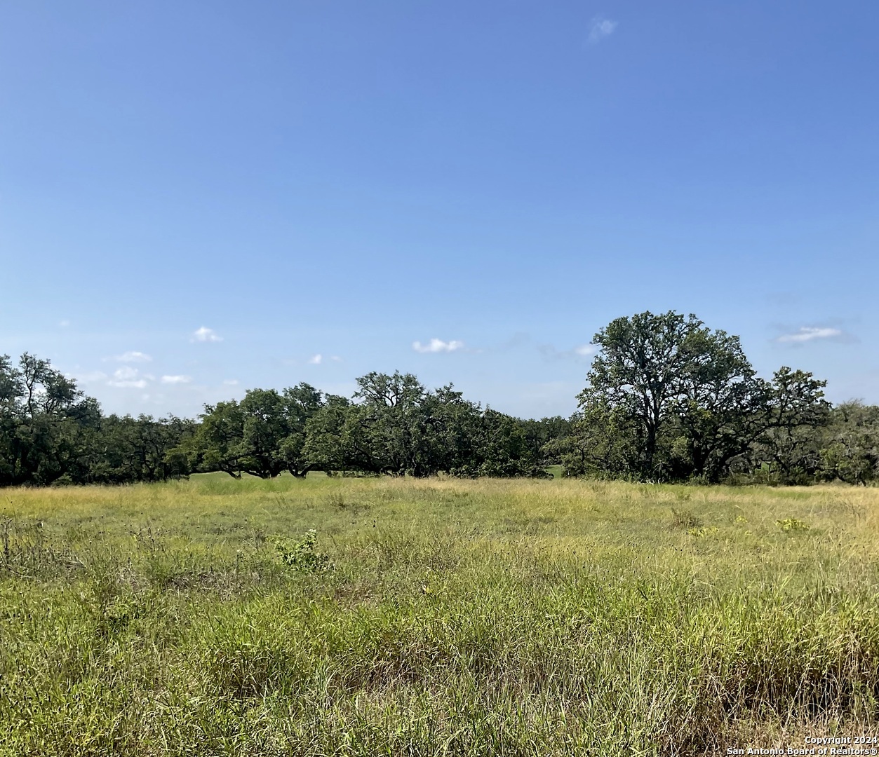 773 Annabelle Avenue Bulverde TX 78163
