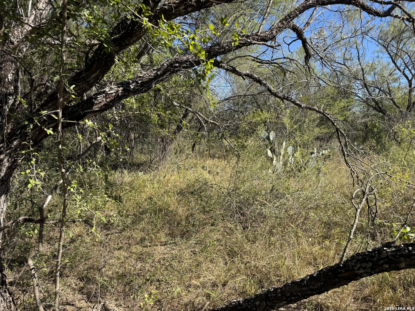 220 Private Road 2355 Uvalde TX 78801