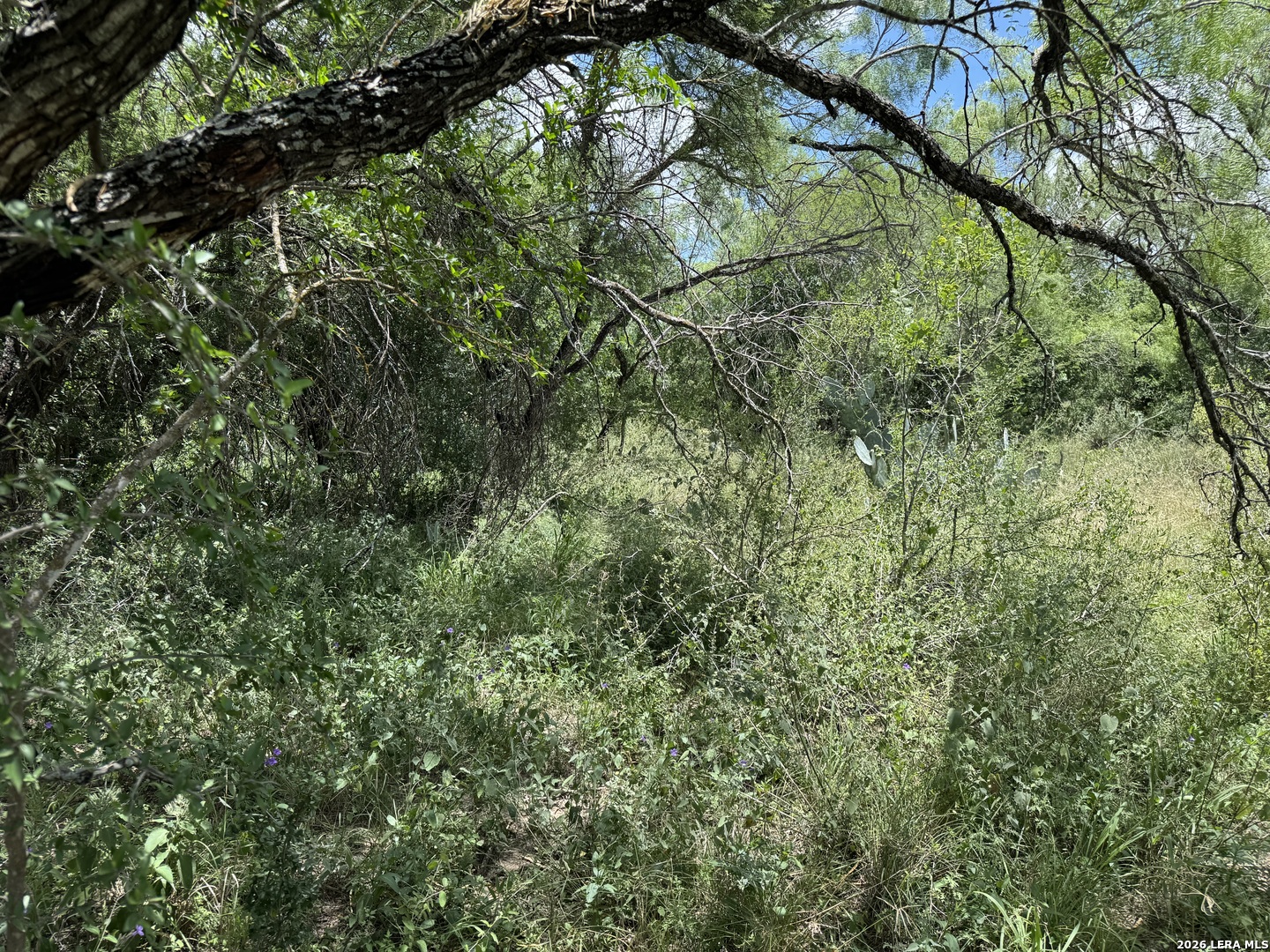 220 Private Road 2355 Uvalde TX 78801