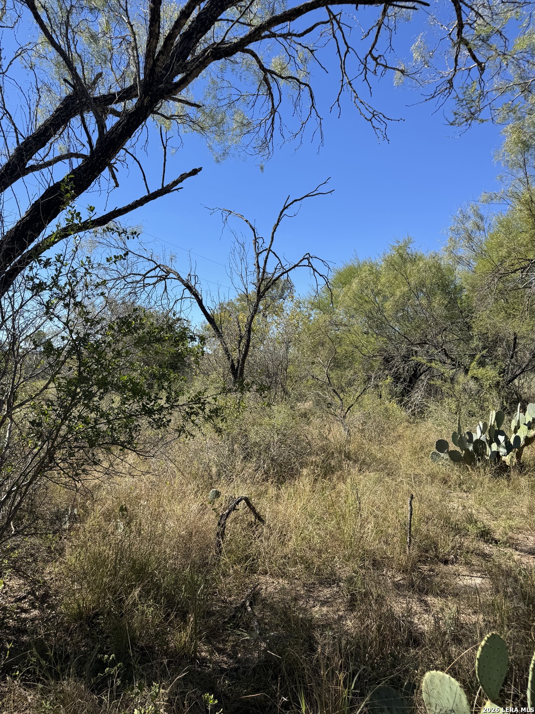 220 Private Road 2355 Uvalde TX 78801