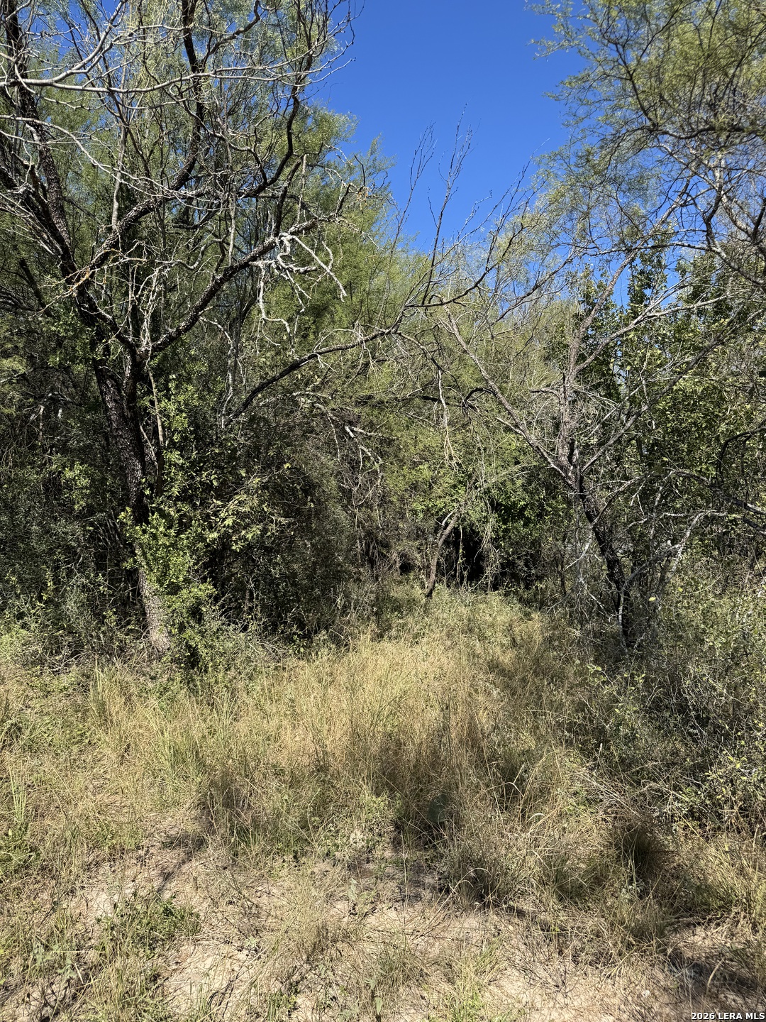 220 Private Road 2355 Uvalde TX 78801