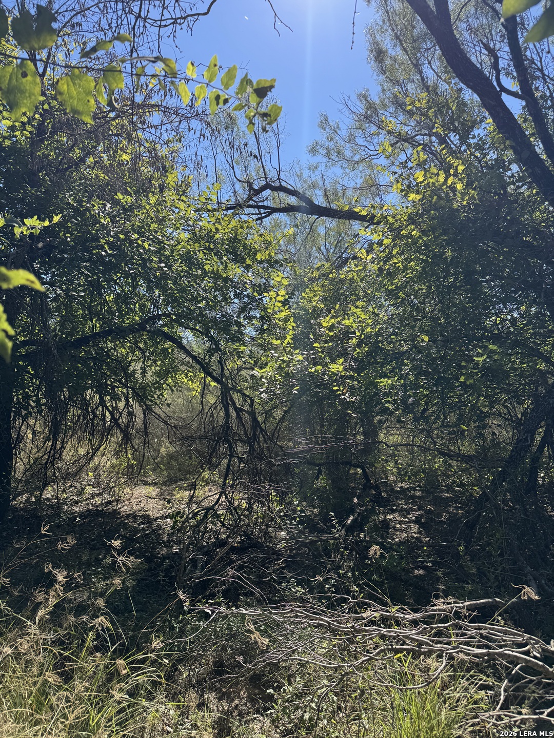 220 Private Road 2355 Uvalde TX 78801