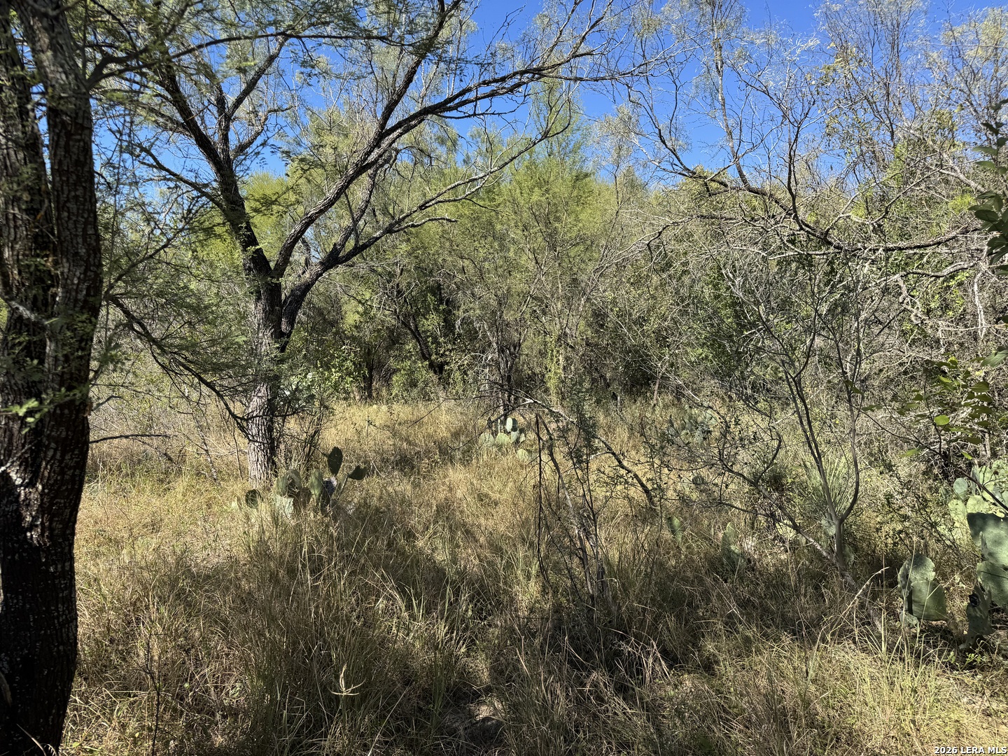 220 Private Road 2355 Uvalde TX 78801