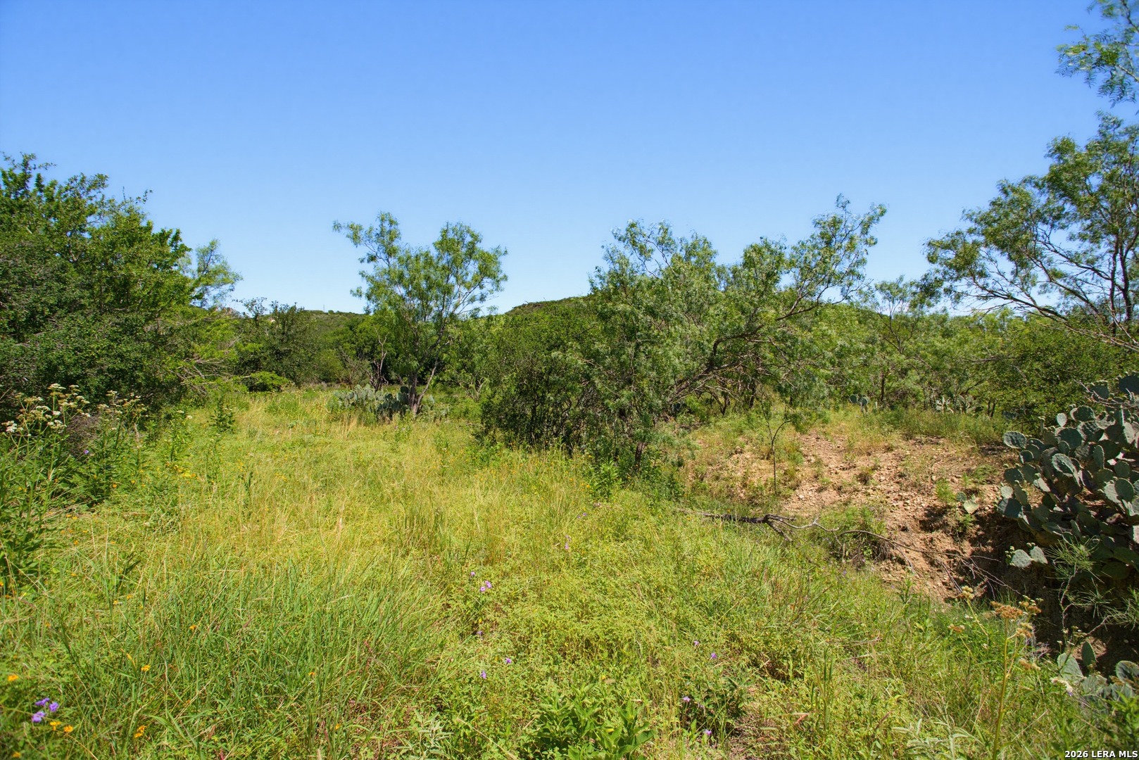 Lot 65 Cr 5722 Castroville TX 78009