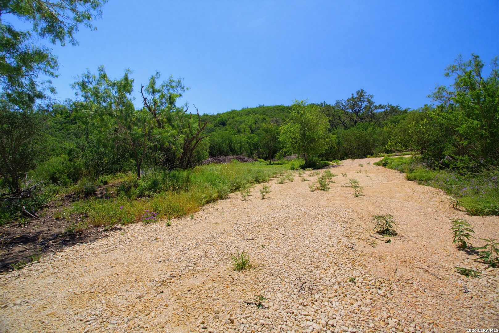 Lot 65 Cr 5722 Castroville TX 78009