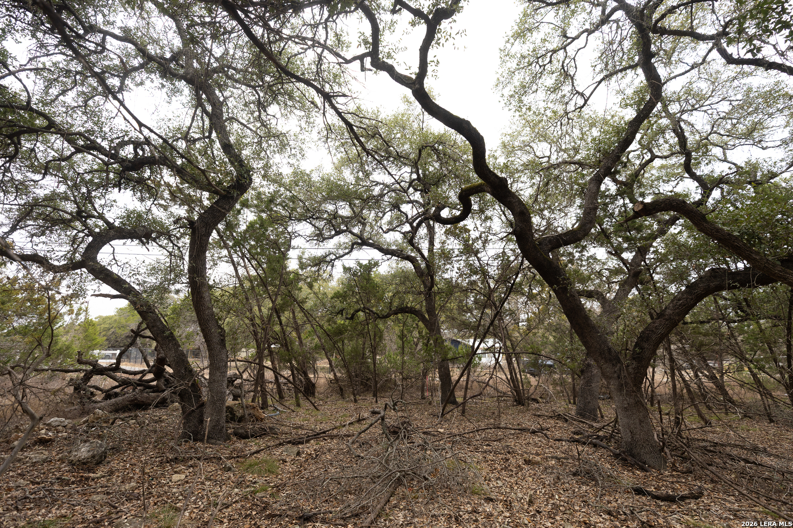 2480 Cypress Gardens Spring Branch TX 78070