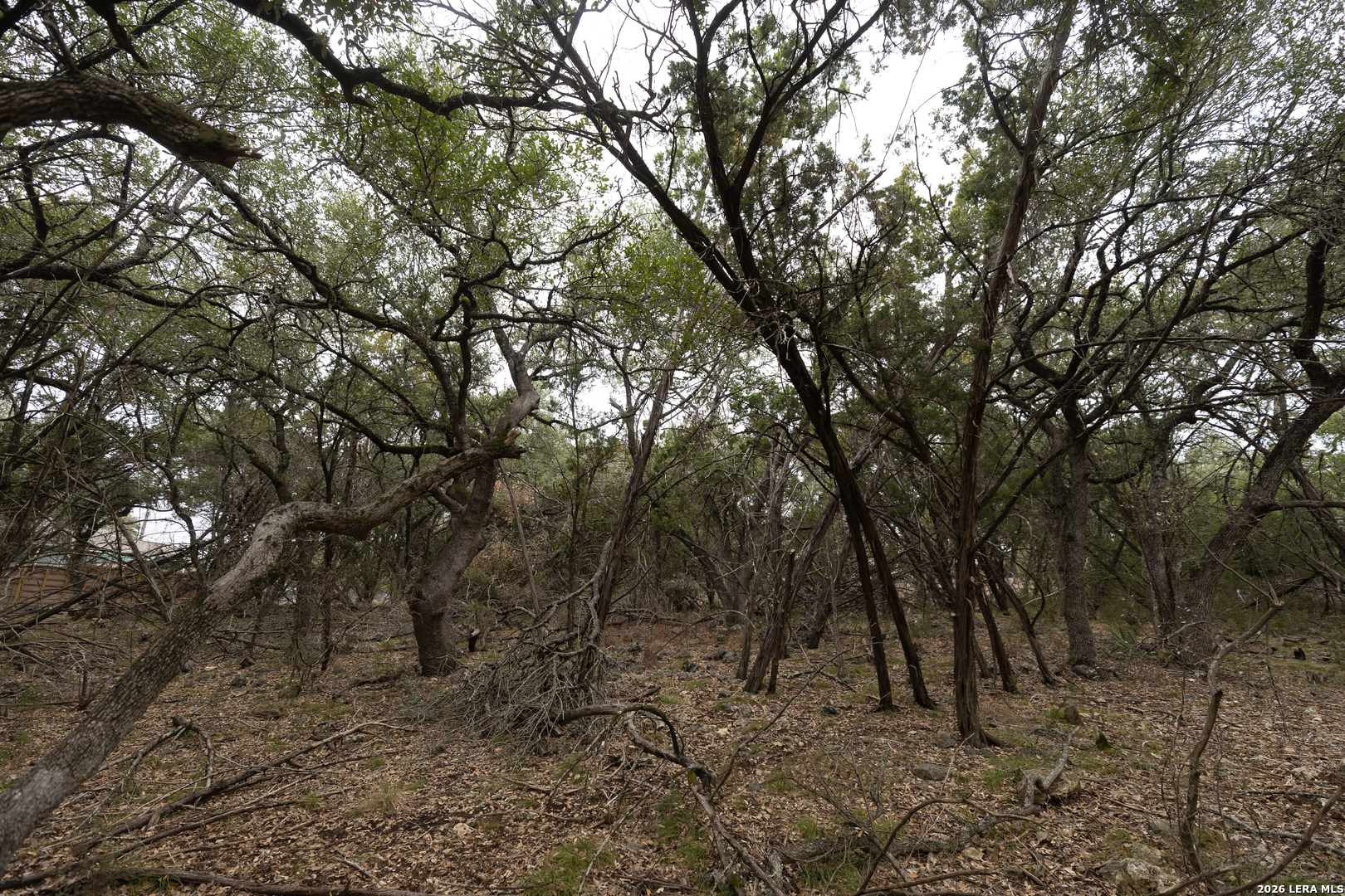 2480 Cypress Gardens Spring Branch TX 78070