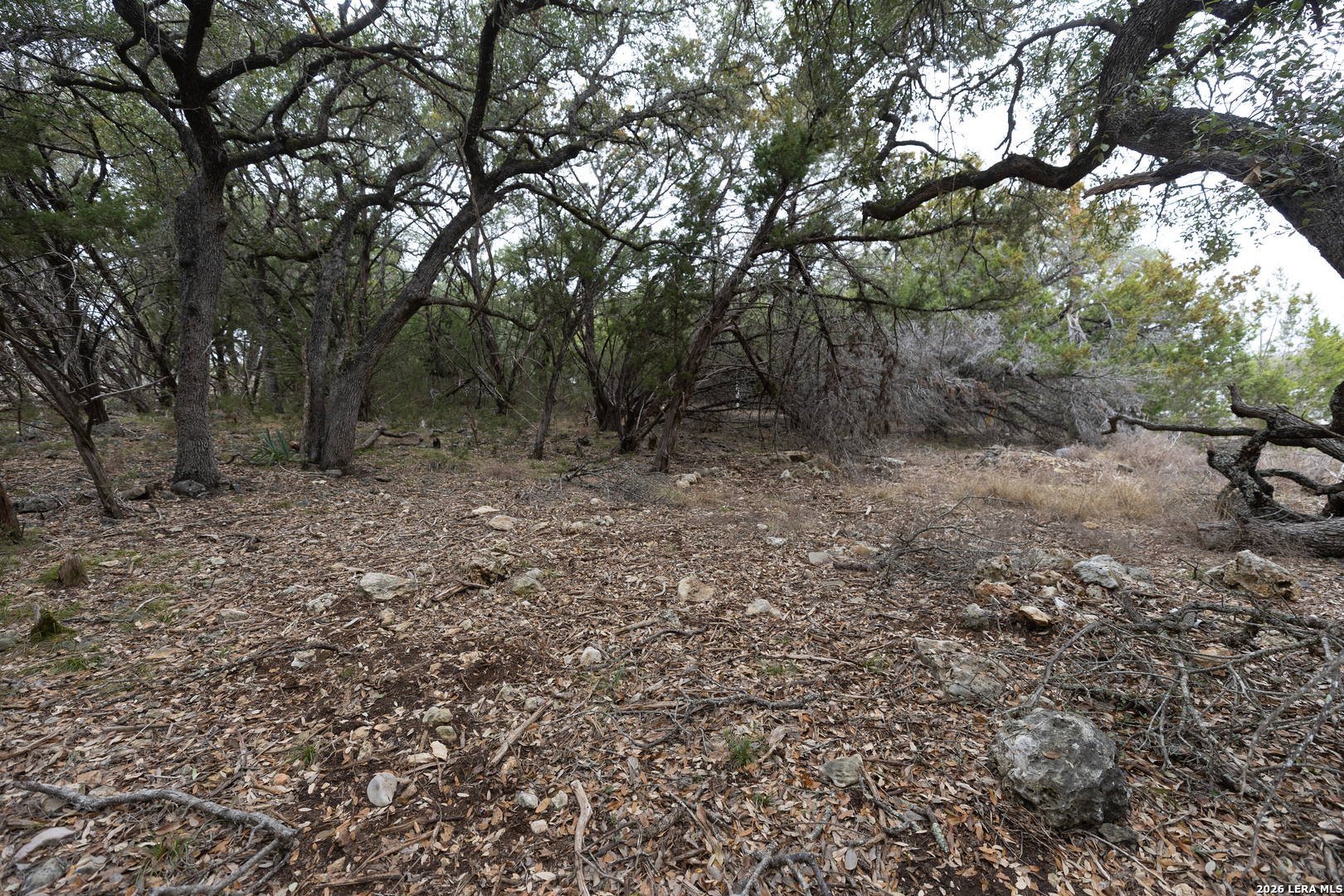 2480 Cypress Gardens Spring Branch TX 78070