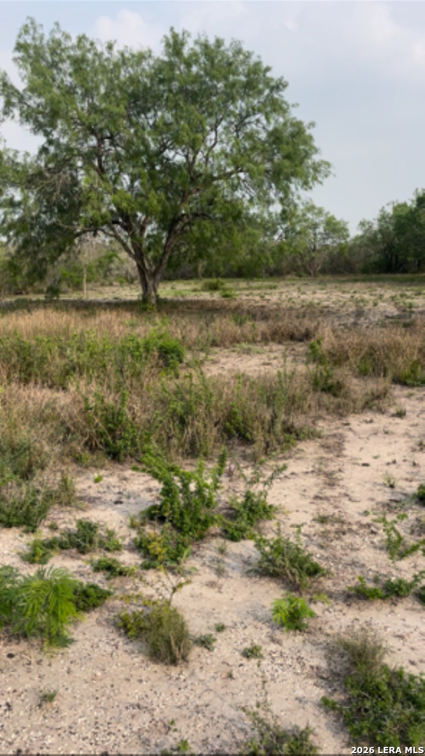 271 Fm 1358 Three Rivers TX 78071