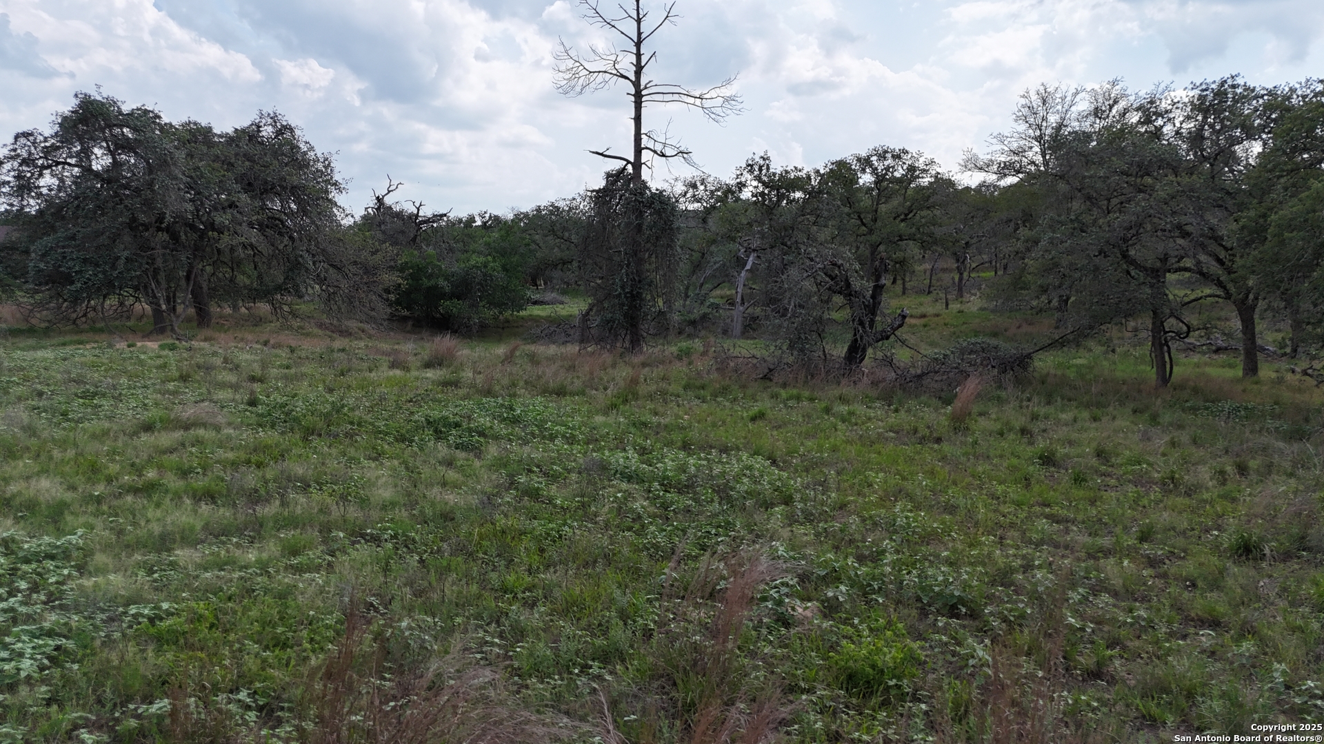 1228 Morning Glory Lane Adkins TX 78101