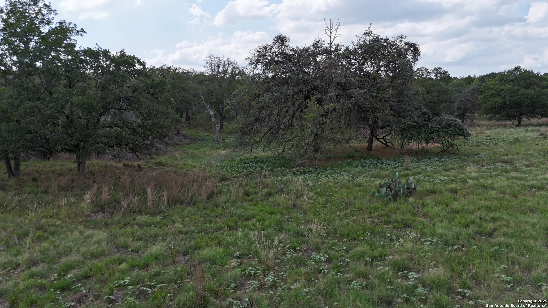 1228 Morning Glory Lane Adkins TX 78101