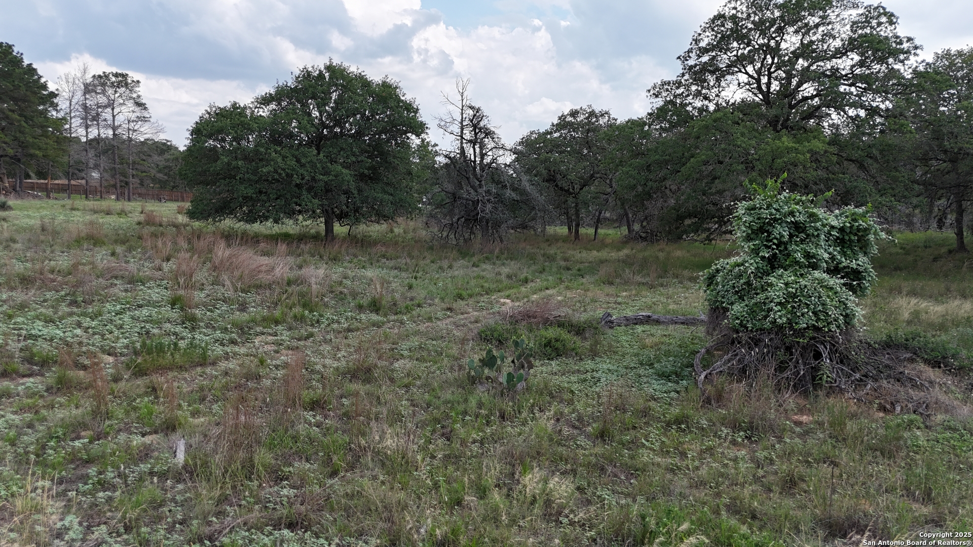 1228 Morning Glory Lane Adkins TX 78101