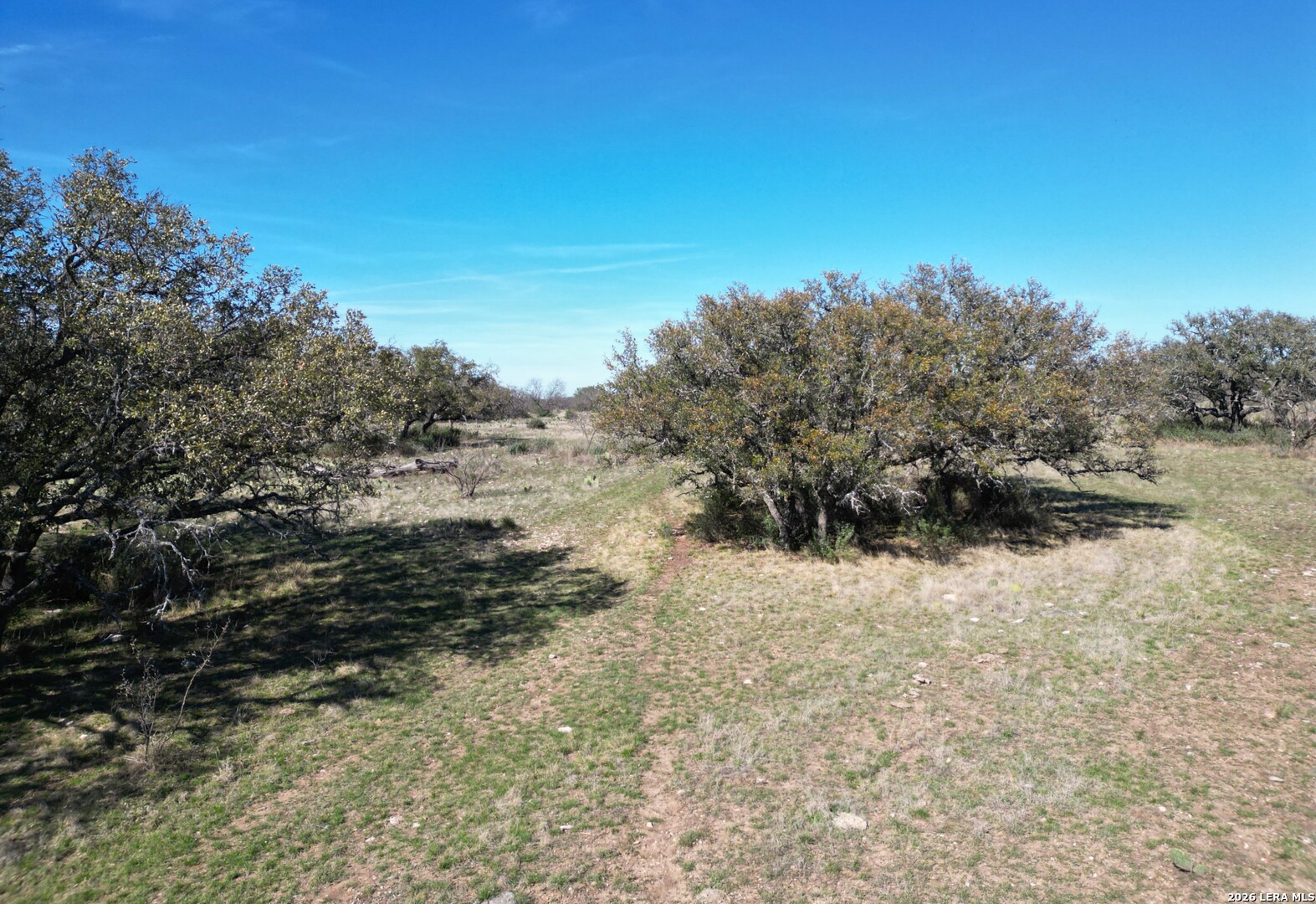 264 Pheasant Menard TX 76859