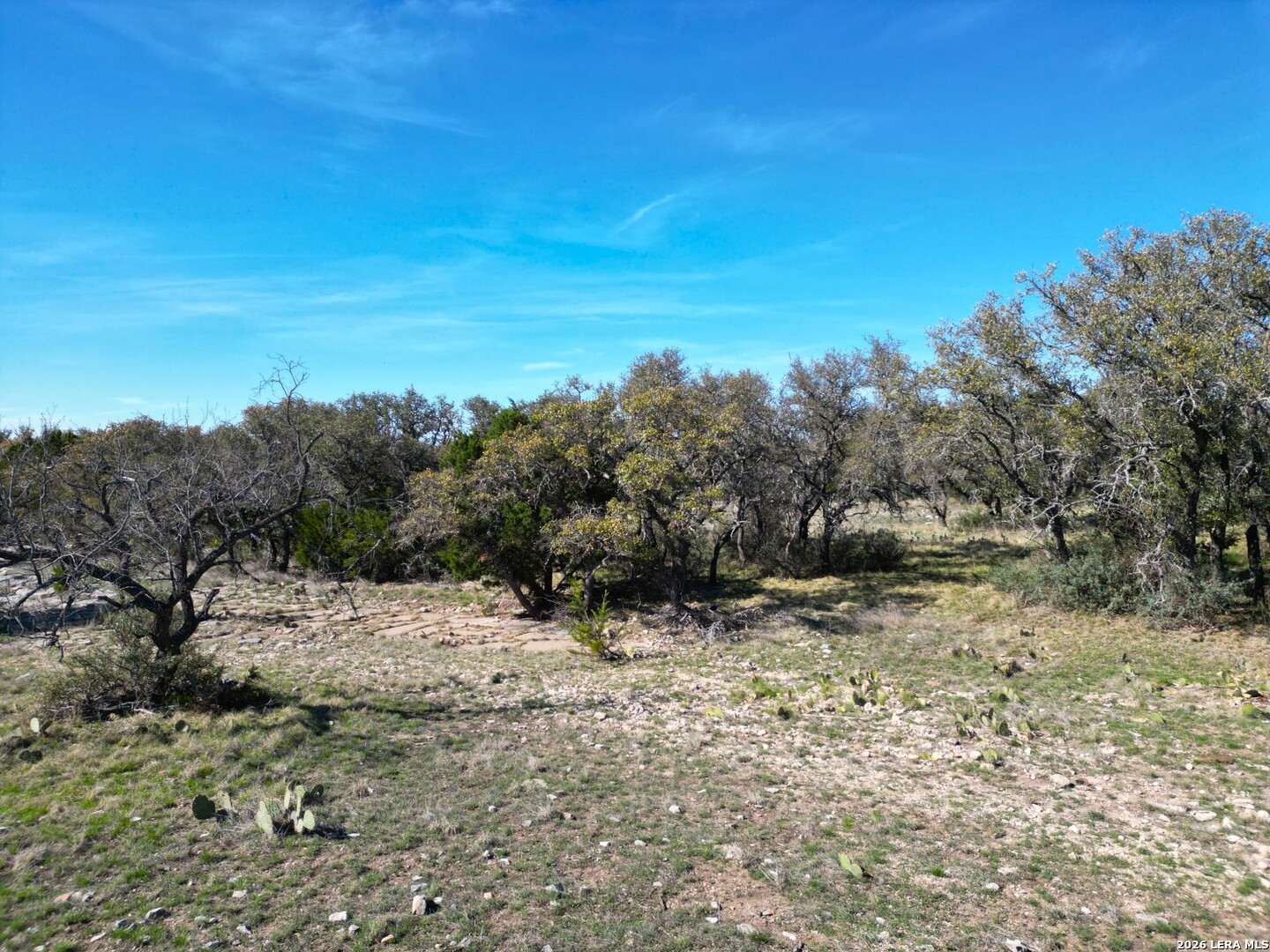 264 Pheasant Menard TX 76859