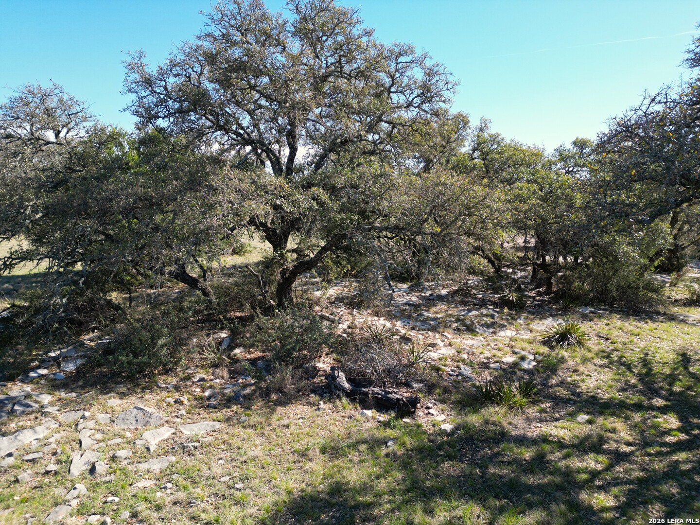 264 Pheasant Menard TX 76859