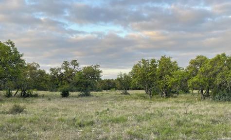 264 Pheasant Menard TX 76859