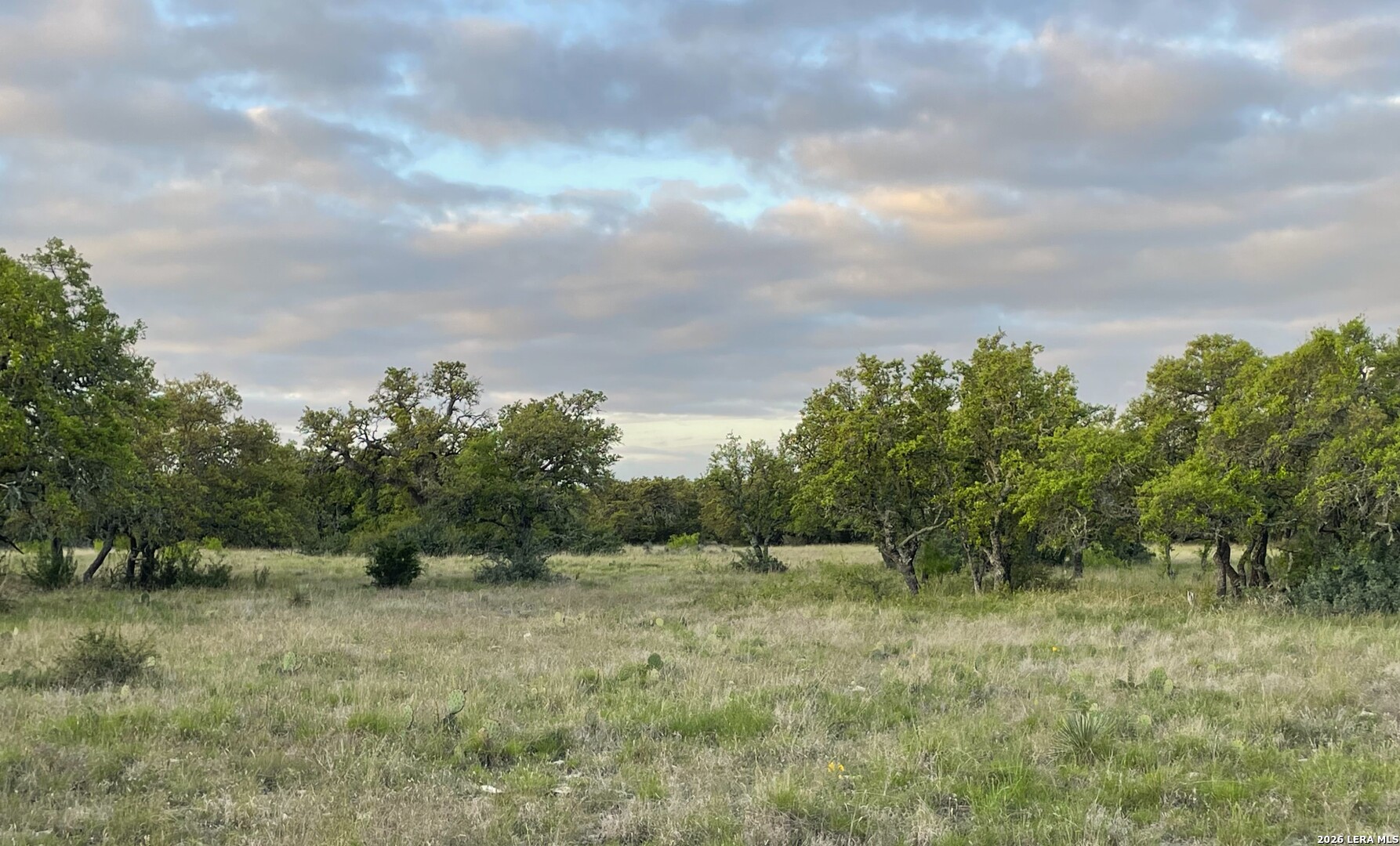 264 Pheasant Menard TX 76859