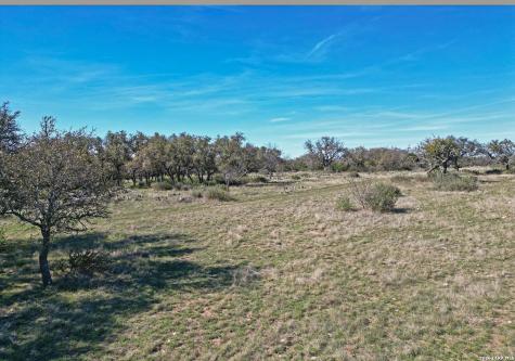 264 Pheasant Menard TX 76859