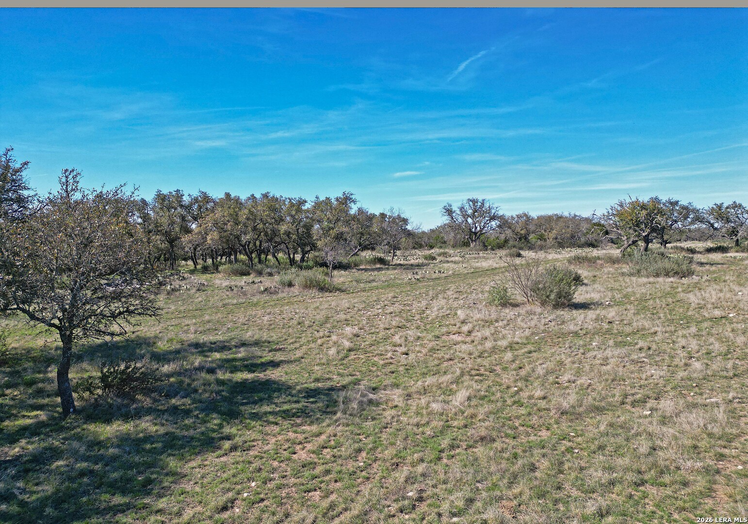 264 Pheasant Menard TX 76859