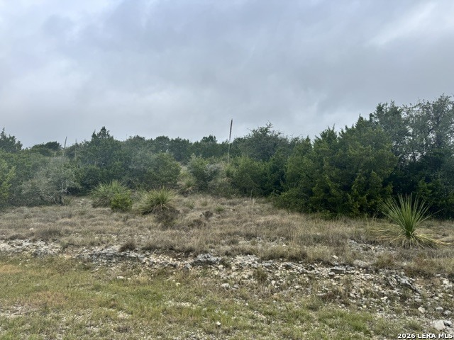 23811 Carina Canyon San Antonio TX 78255
