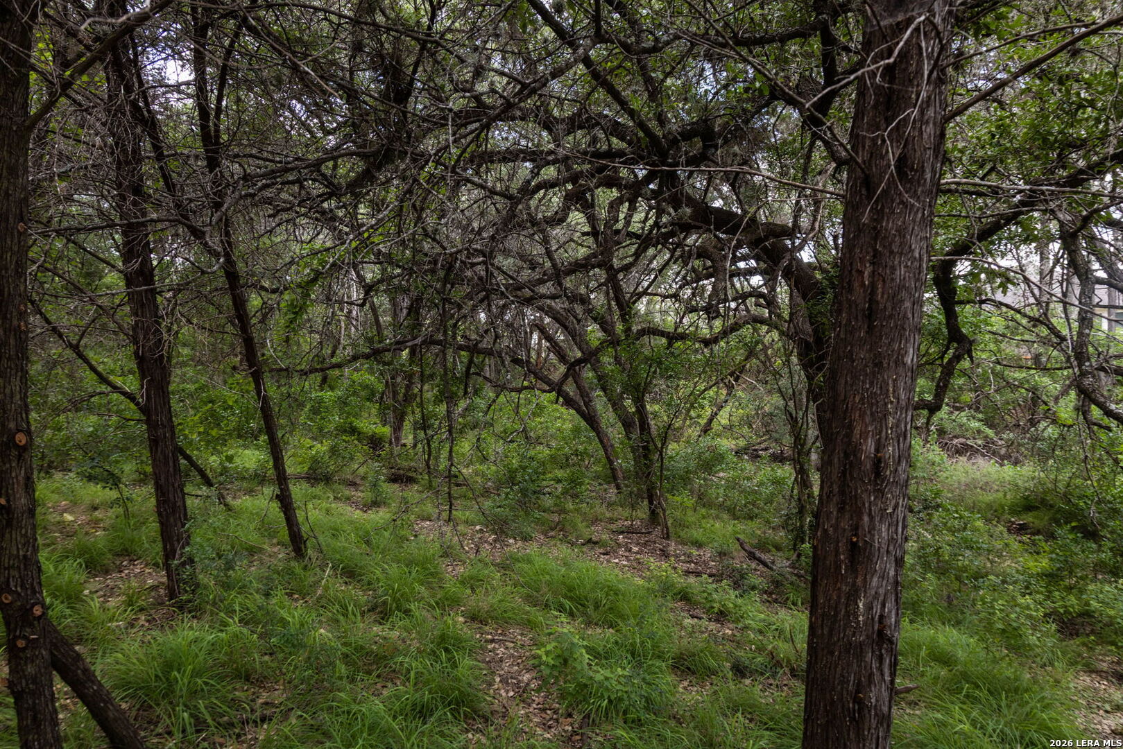 Tbd Dry Creek Crossing New Braunfels TX 78130
