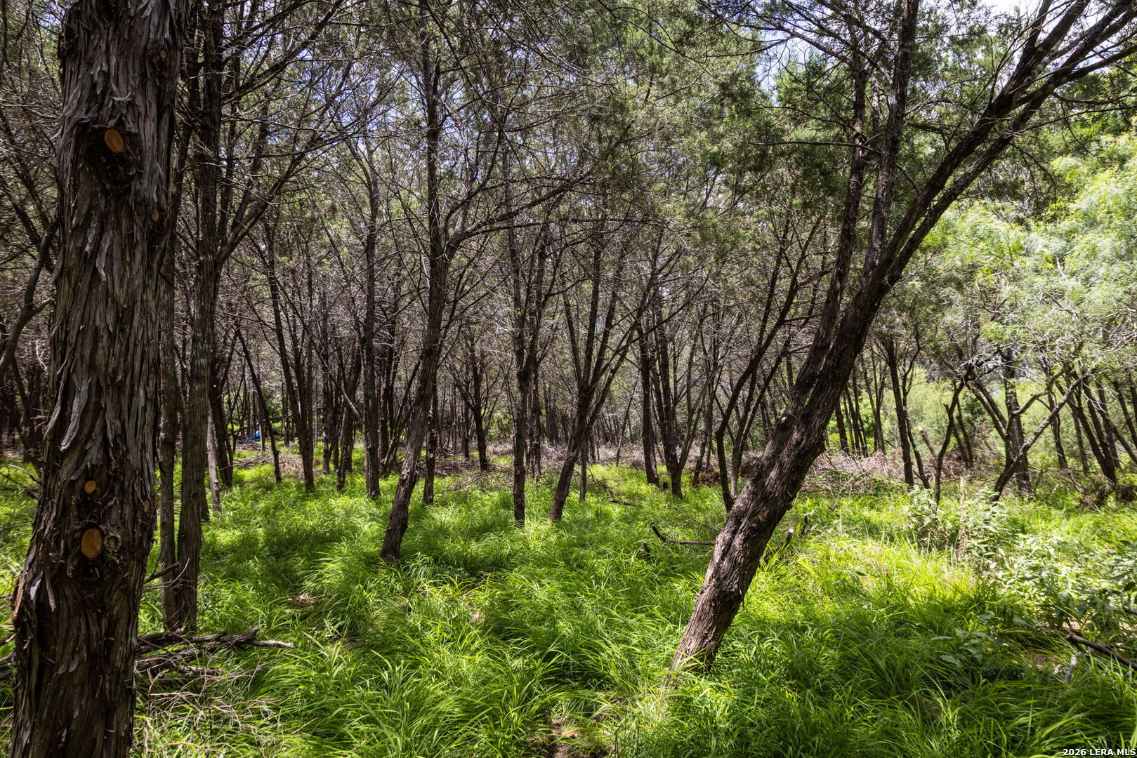 Tbd Dry Creek Crossing New Braunfels TX 78130