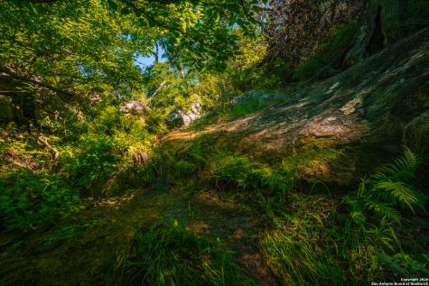 000 Rebecca Creek Ranch Spring Branch TX 78070