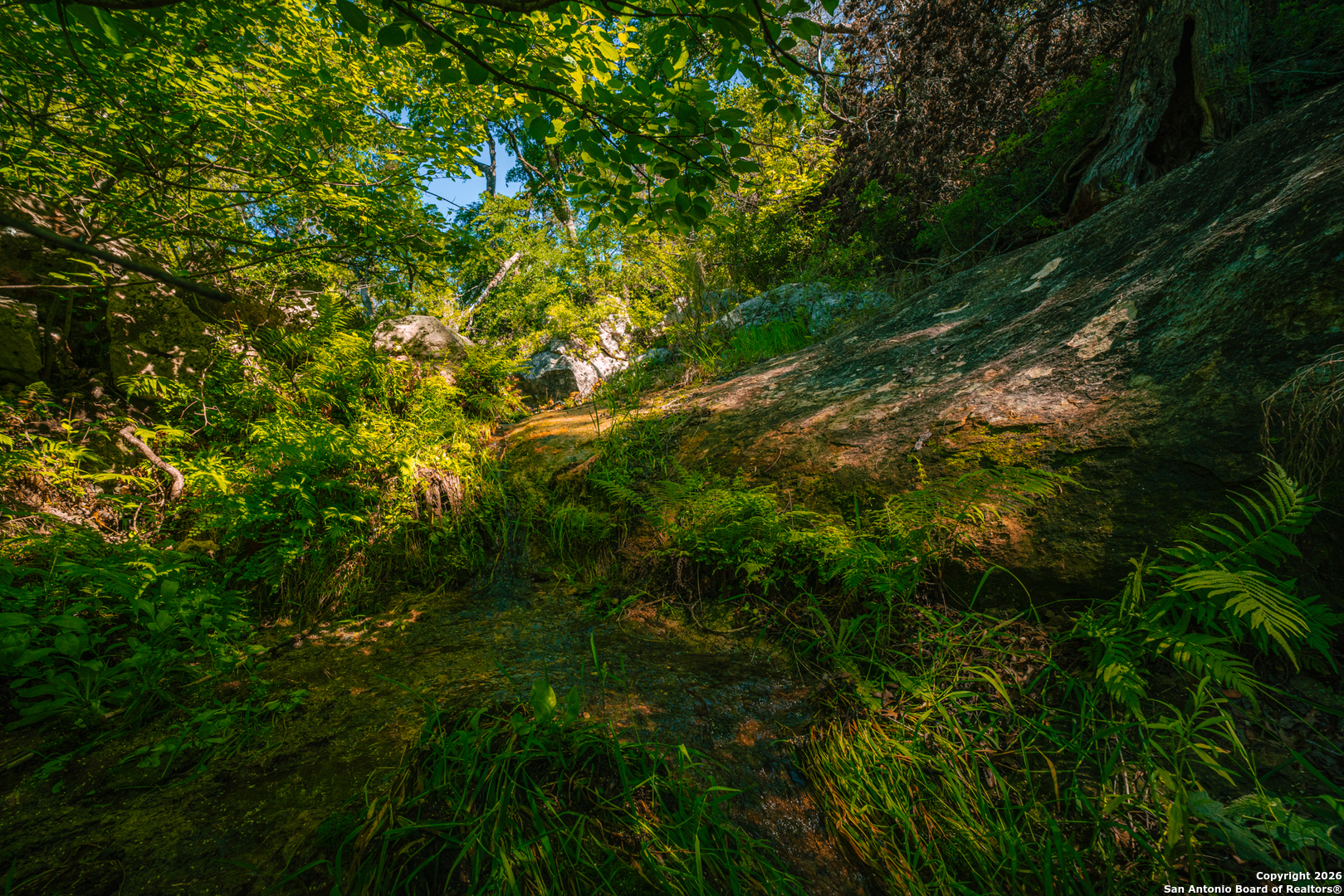 000 Rebecca Creek Ranch Spring Branch TX 78070