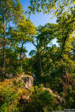 000 Rebecca Creek Ranch Spring Branch TX 78070
