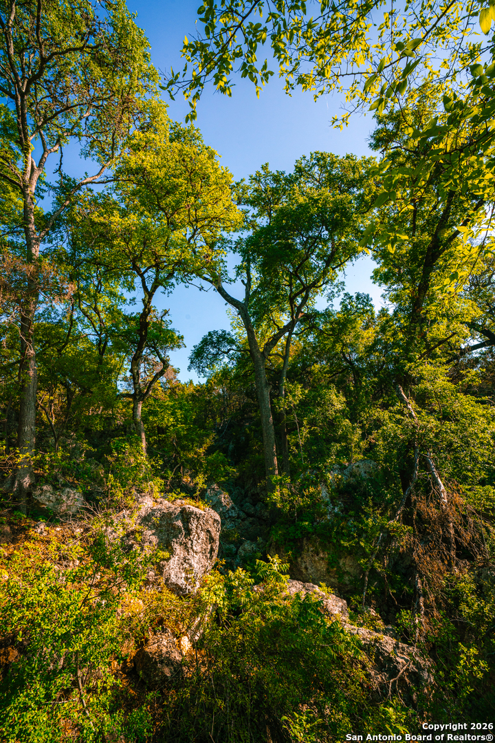 000 Rebecca Creek Ranch Spring Branch TX 78070