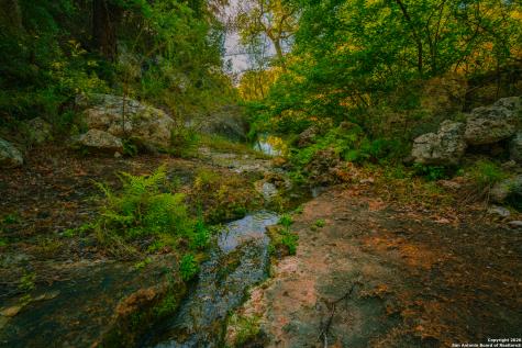 000 Rebecca Creek Ranch Spring Branch TX 78070