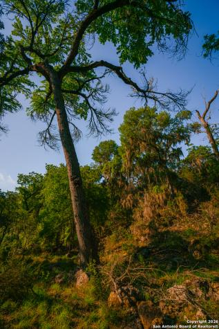 000 Rebecca Creek Ranch Spring Branch TX 78070