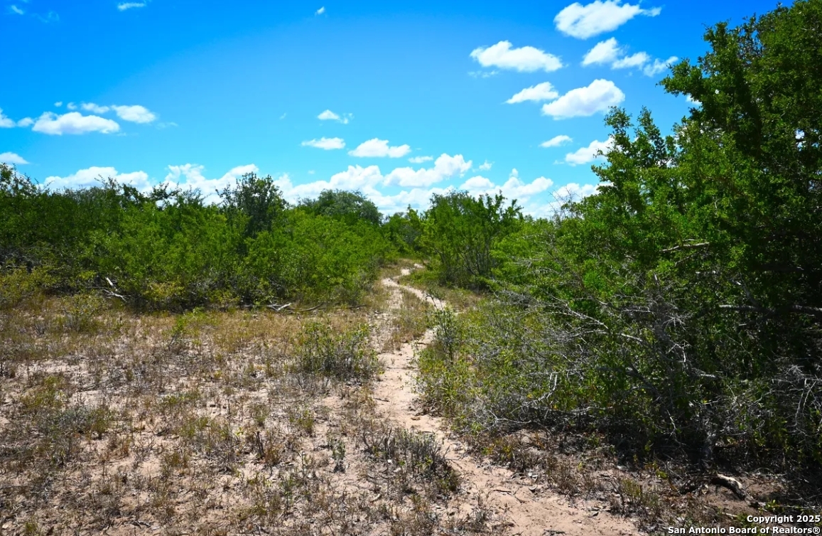 000 Cr 342 Beeville TX 78102