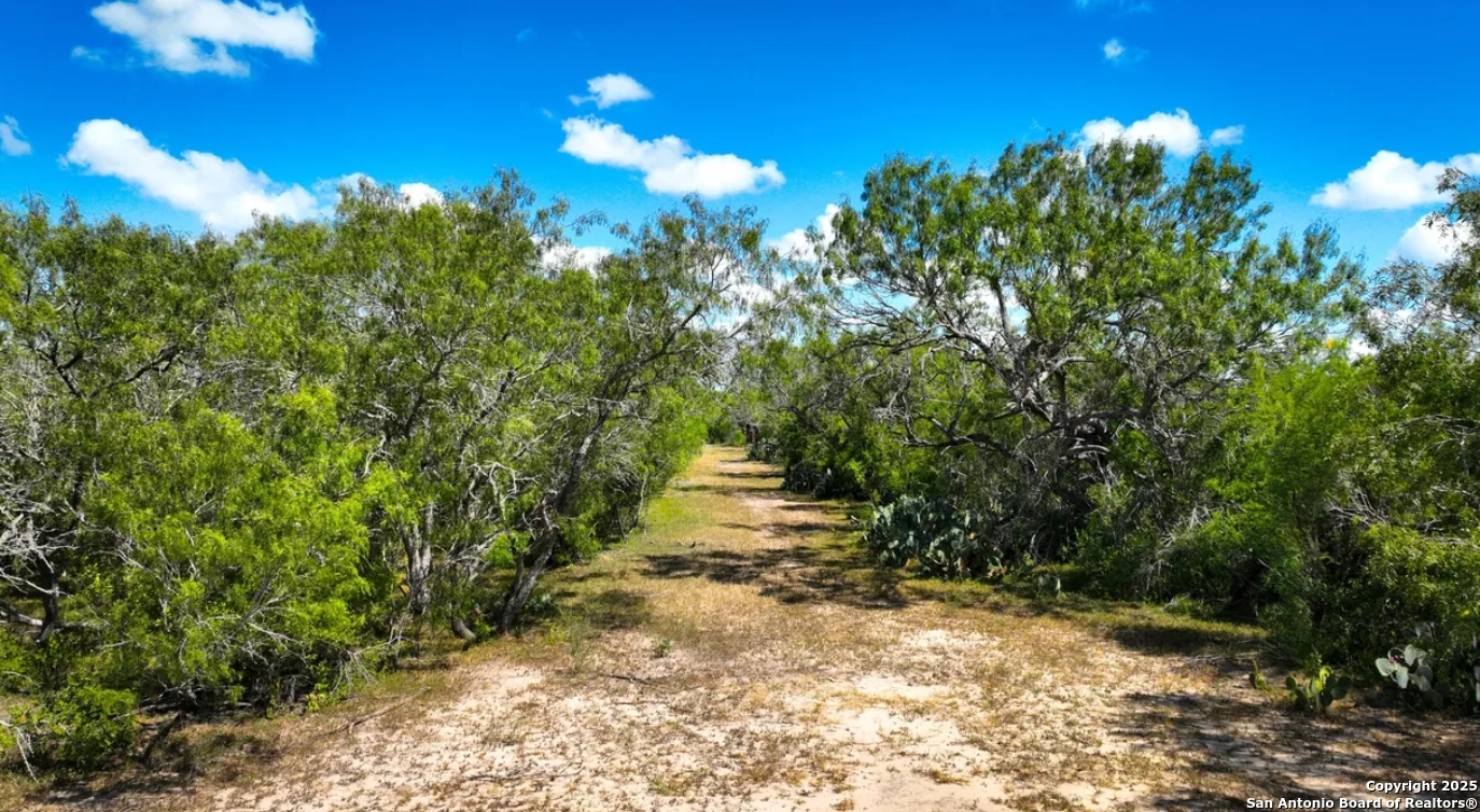 000 Cr 342 Beeville TX 78102