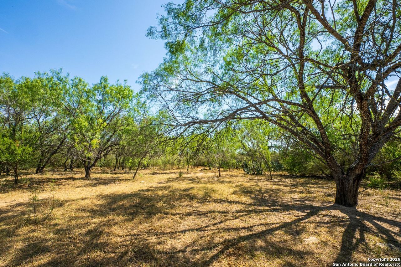 Cr 732 Creek Yancey TX 78886