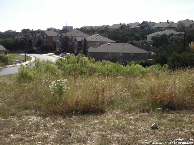 23802 Alpine Ridge San Antonio TX 78258