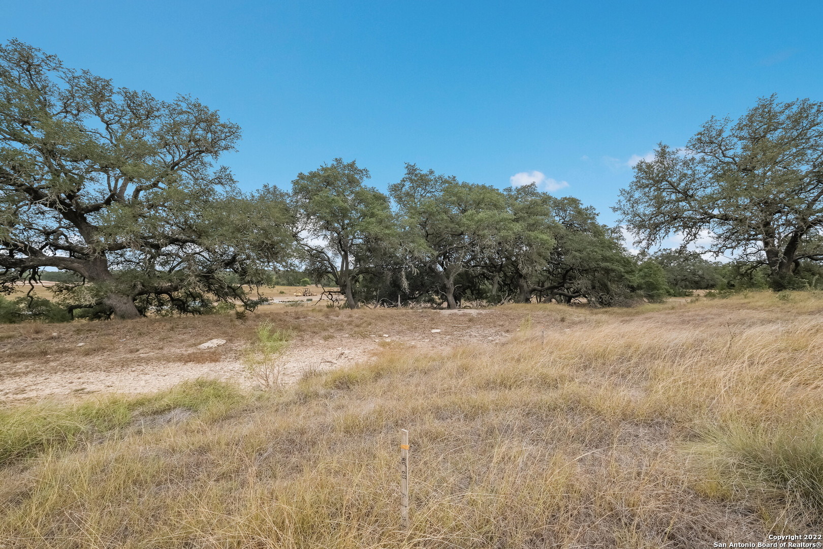 765 Annabelle Bulverde TX 78163