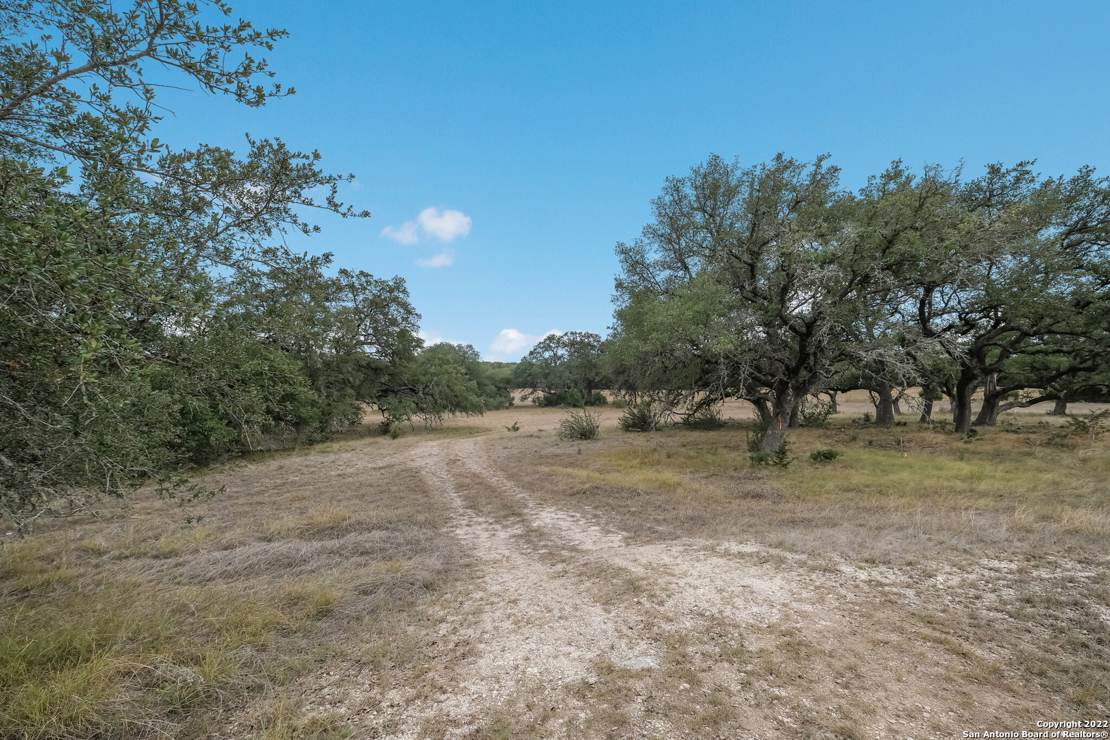 765 Annabelle Bulverde TX 78163