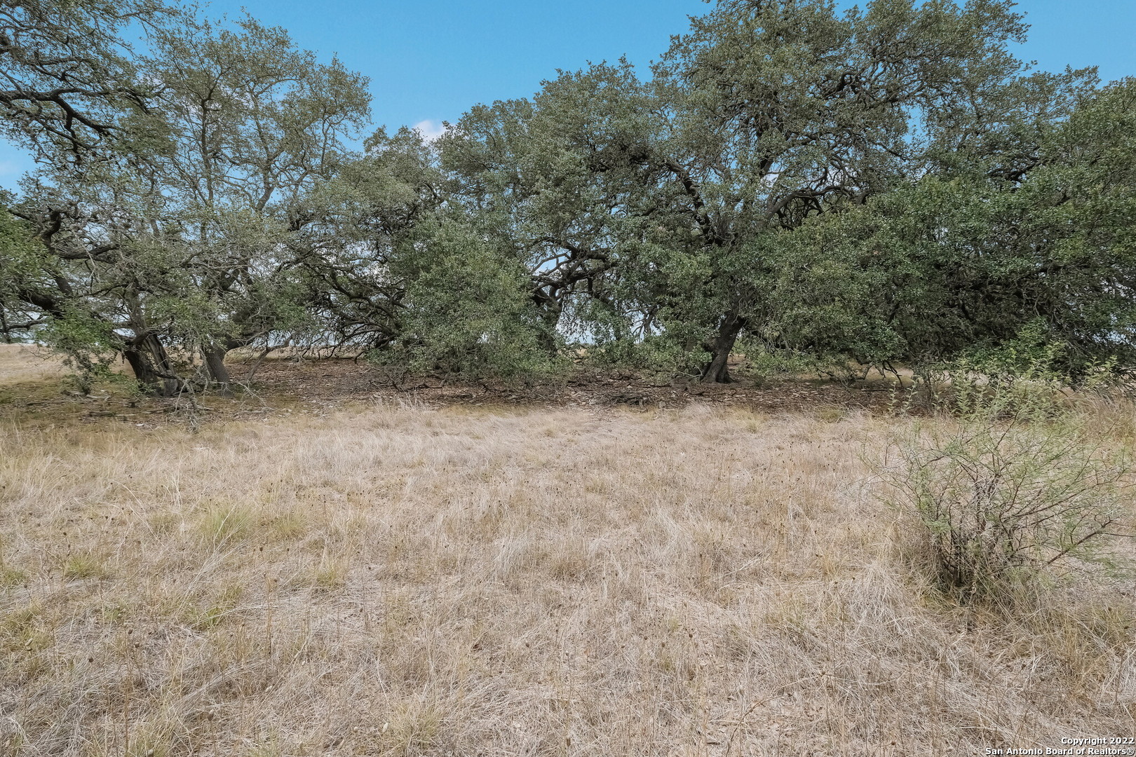 765 Annabelle Bulverde TX 78163